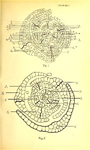 n156_w1150