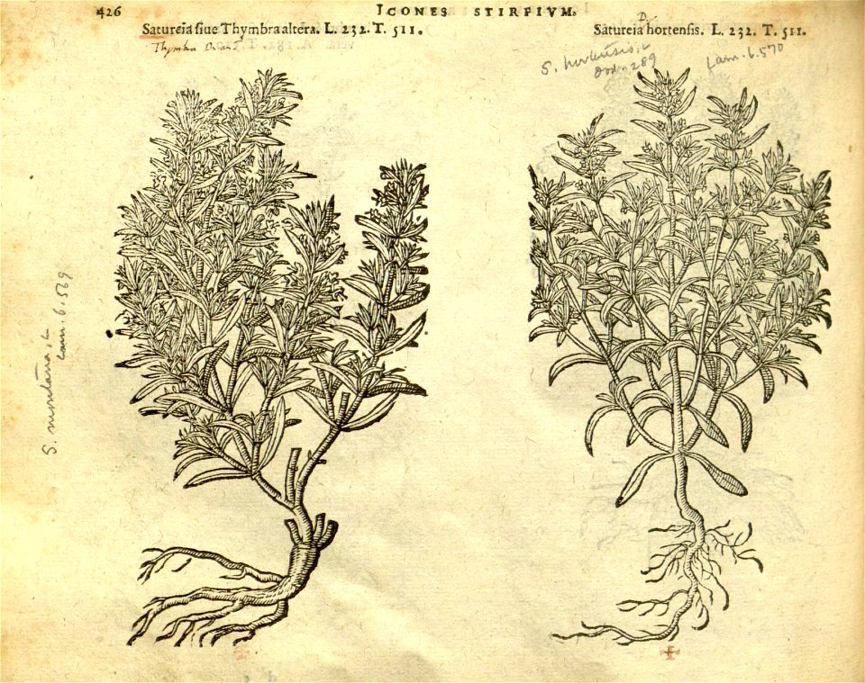 n432_w1150