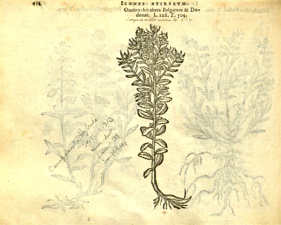 n424_w1150