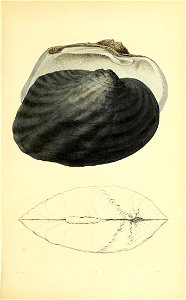 n310_w1150