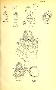 n222_w1150