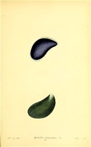 n368_w1150