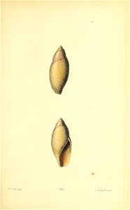 n308_w1150