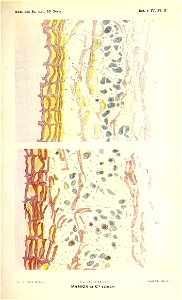 n82_w1150