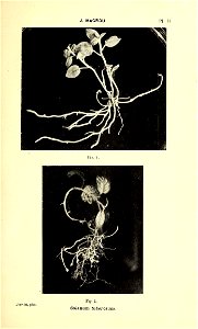 n374_w1150
