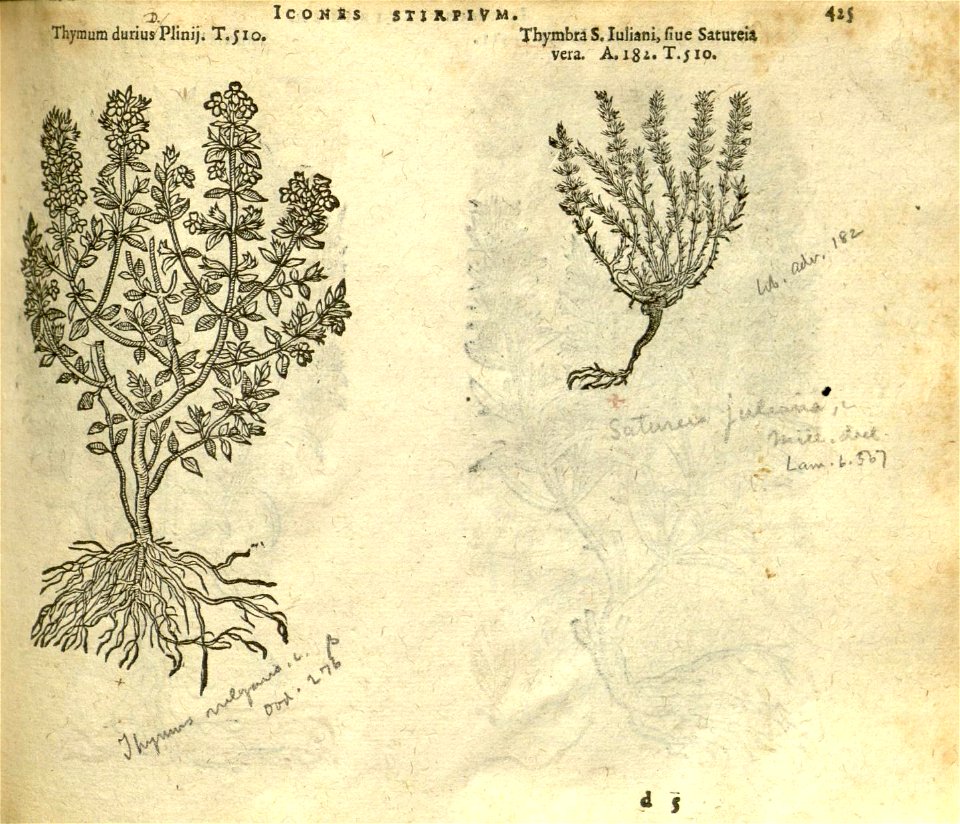 n431_w1150
