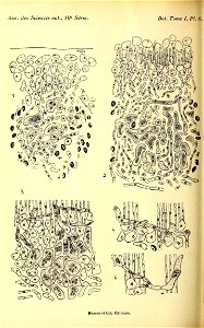 n157_w1150