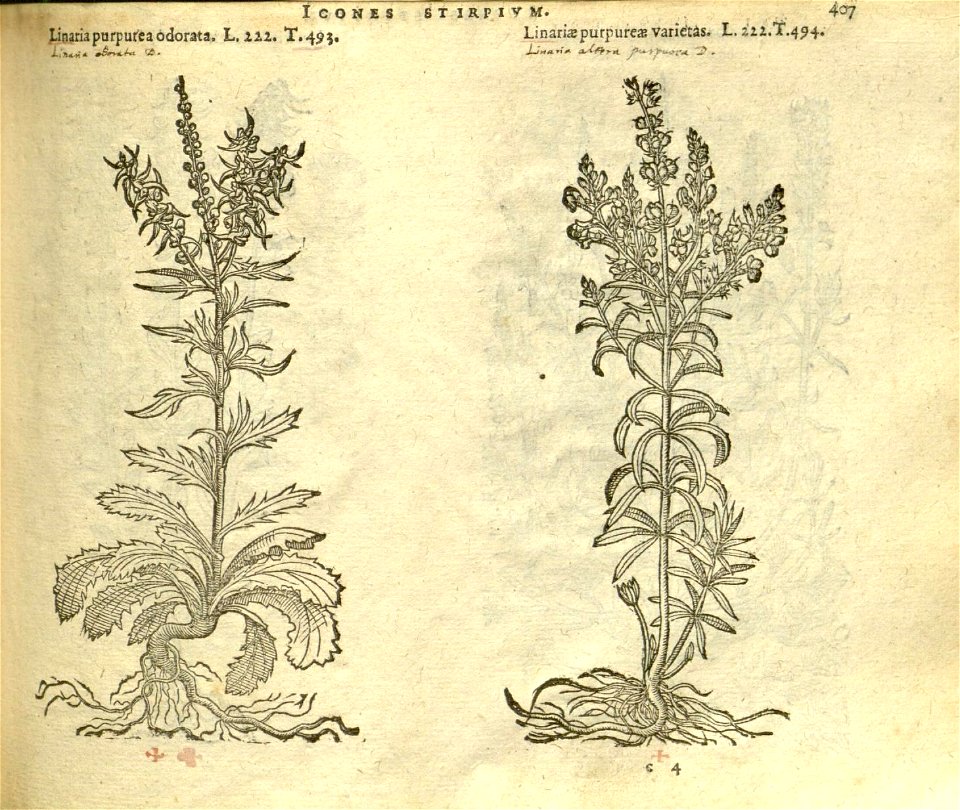 n413_w1150