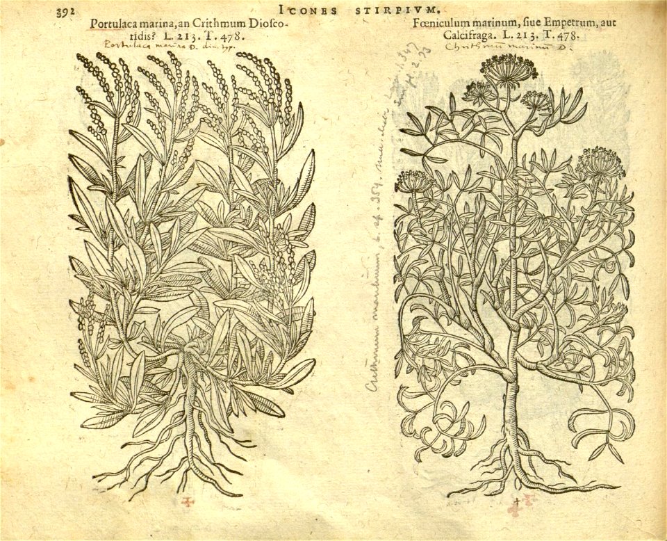 n398_w1150