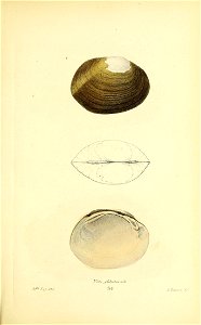n336_w1150
