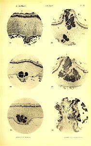 n482_w1150