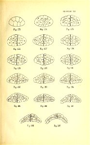 n178_w1150