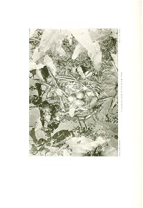 n609_w1150