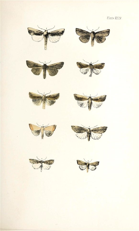 n122_w1150