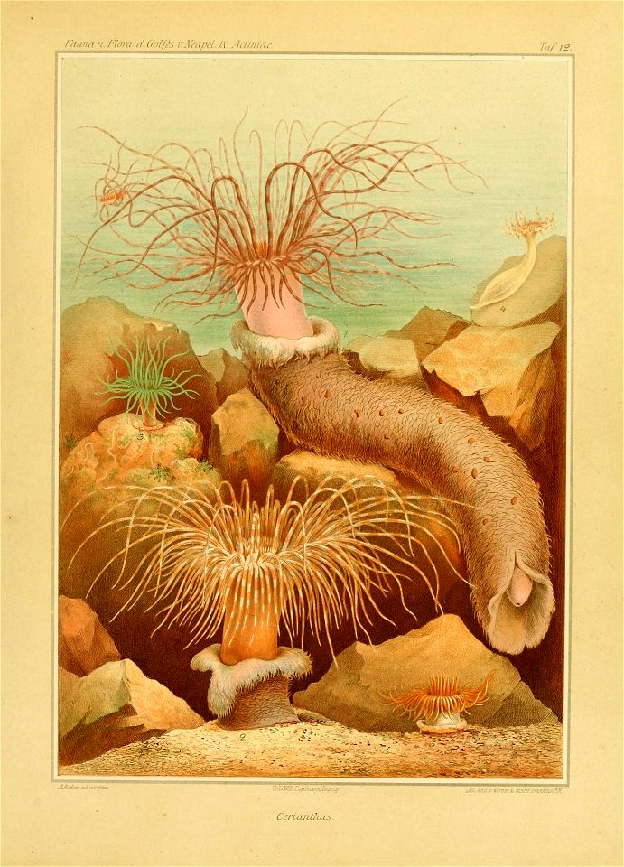 n508_w1150