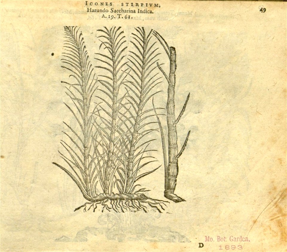 n55_w1150