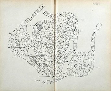 n192_w1150
