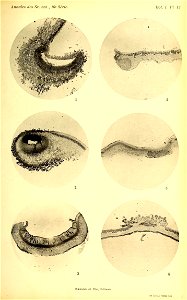 n164_w1150
