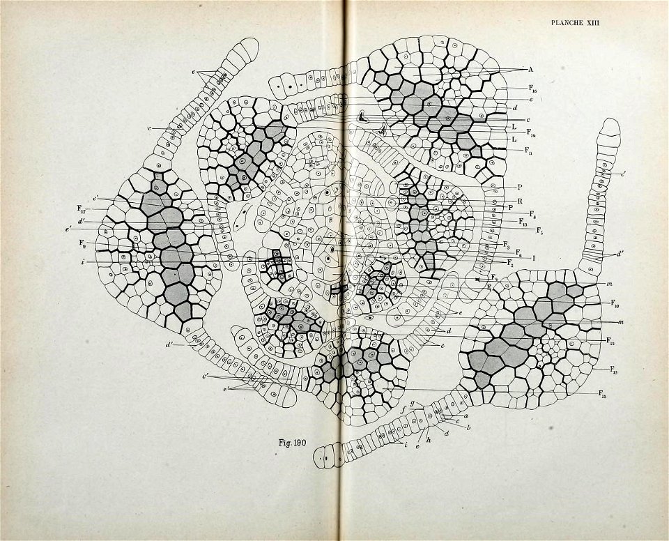 n184_w1150