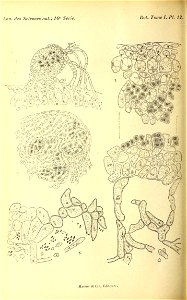 n163_w1150