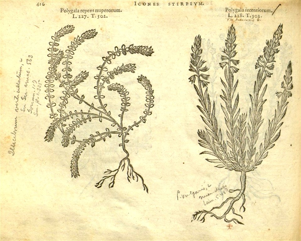 n422_w1150
