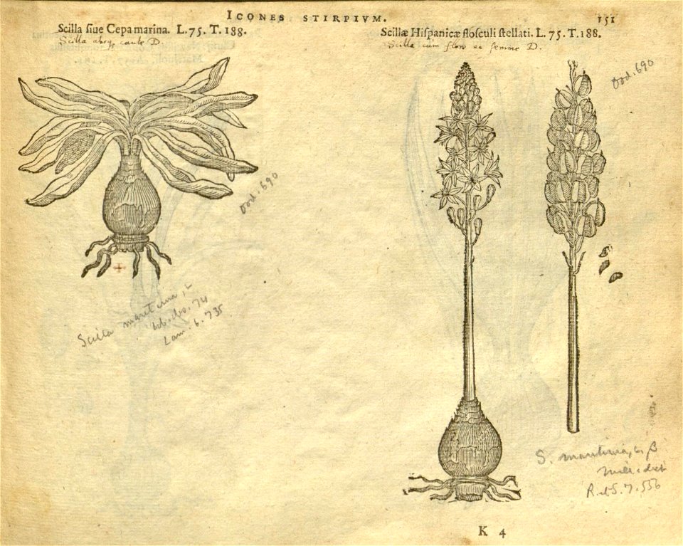 n157_w1150