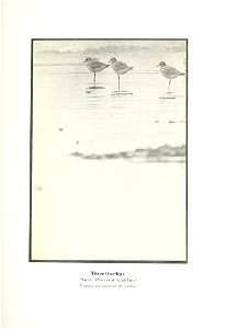 n382_w1150