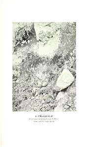 n506_w1150