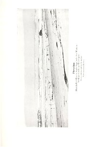 n378_w1150