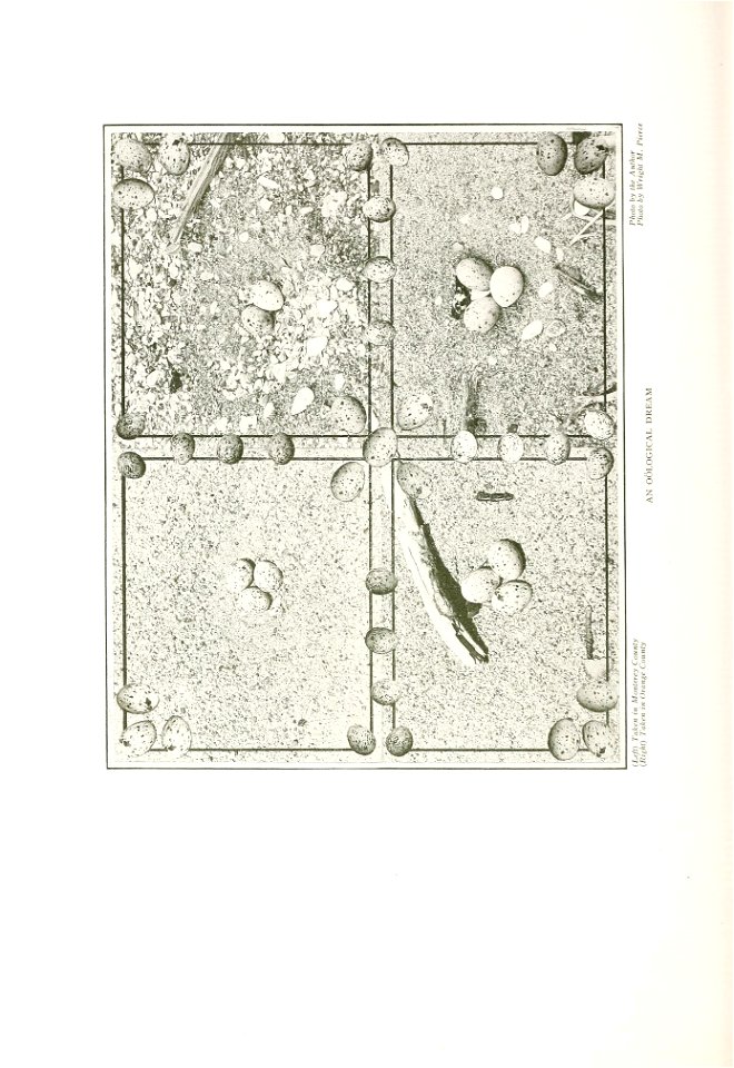 n603_w1150