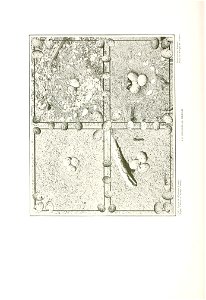 n603_w1150