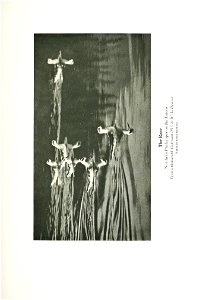 n228_w1150