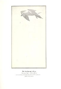 n500_w1150
