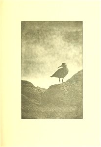 n356_w1150