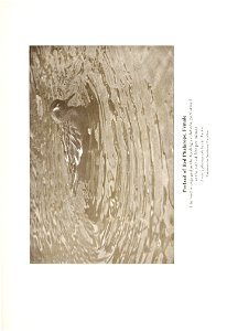 n216_w1150