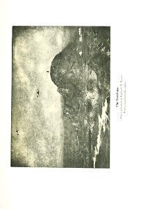 n486_w1150