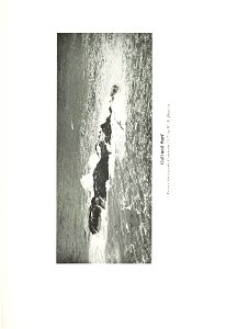 n474_w1150
