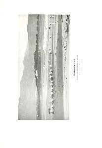 n568_w1150