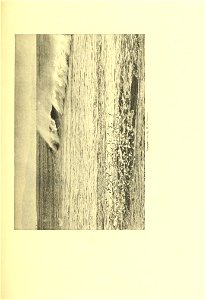 n328_w1150