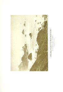 n458_w1150