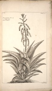 n251_w1150