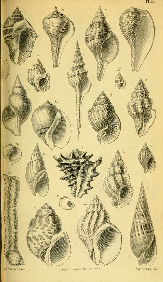 n538_w1150