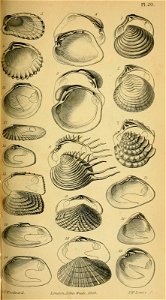 n568_w1150