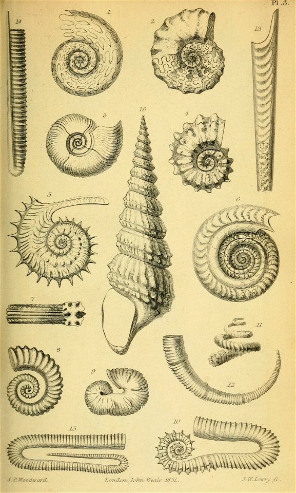 n534_w1150