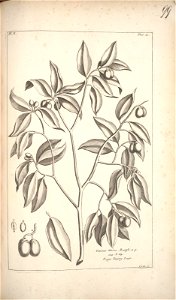 n198_w1150