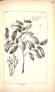 n122_w1150