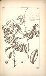 n166_w1150