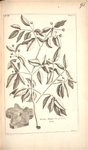 n194_w1150