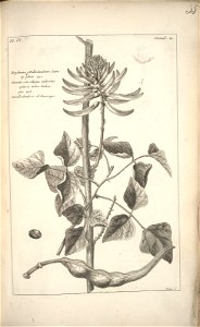n133_w1150