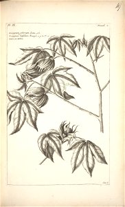 n117_w1150